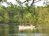 People canoing 